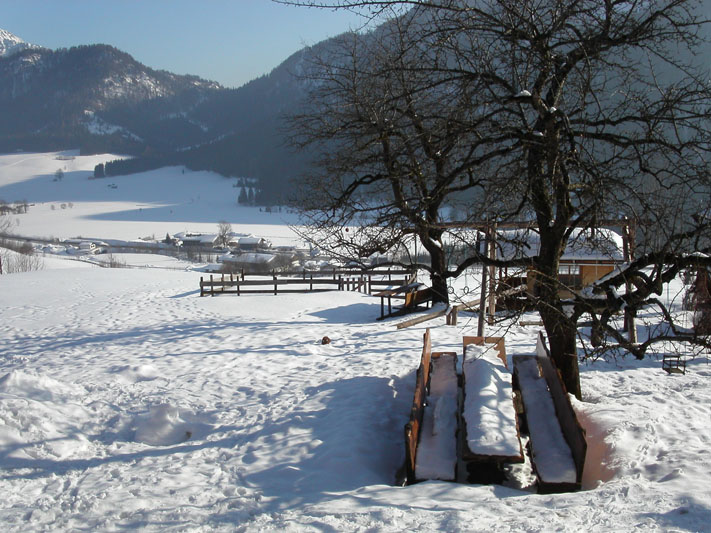 Ausblick auf den verschneiten Garten