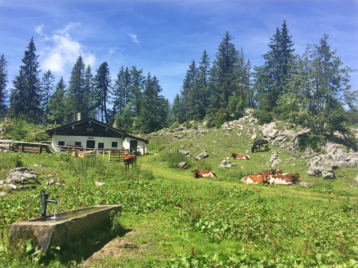 Unsere Hütte auf der Stallenalm