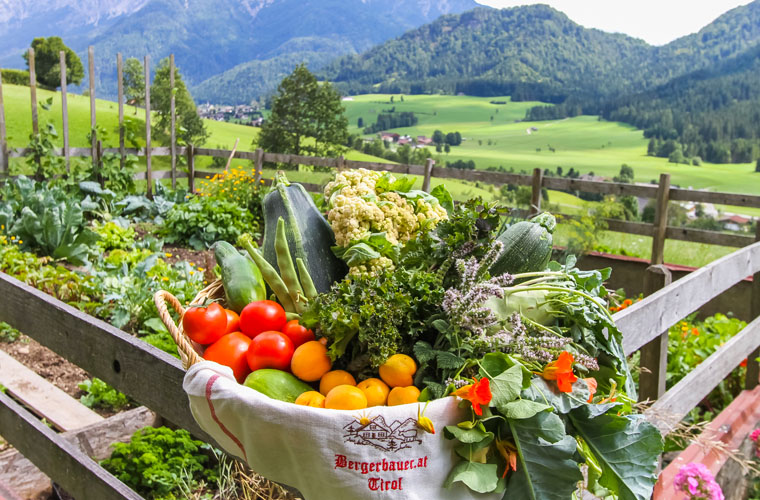 Halbpension mit frischen, hofeigenen Produkten genießen